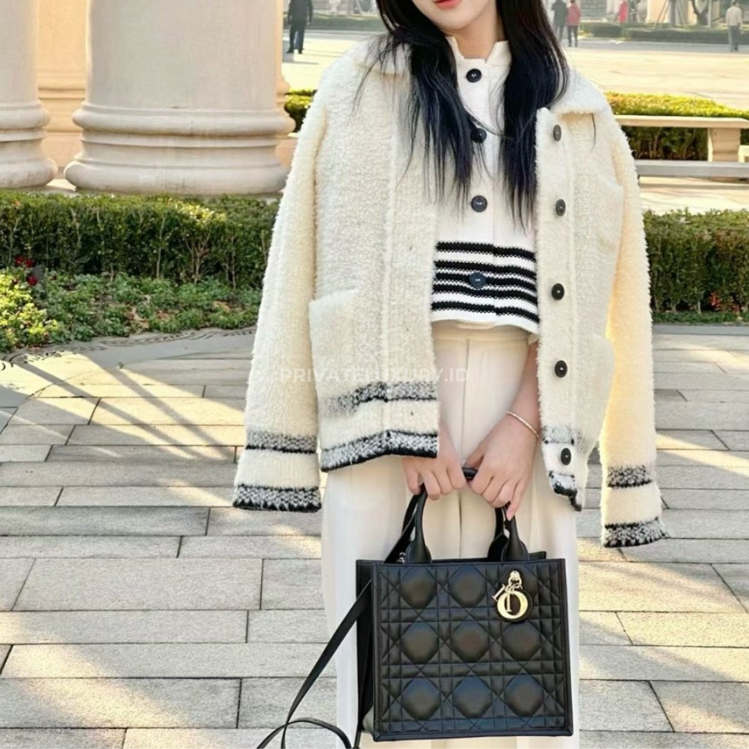 Small Dior Book Tote