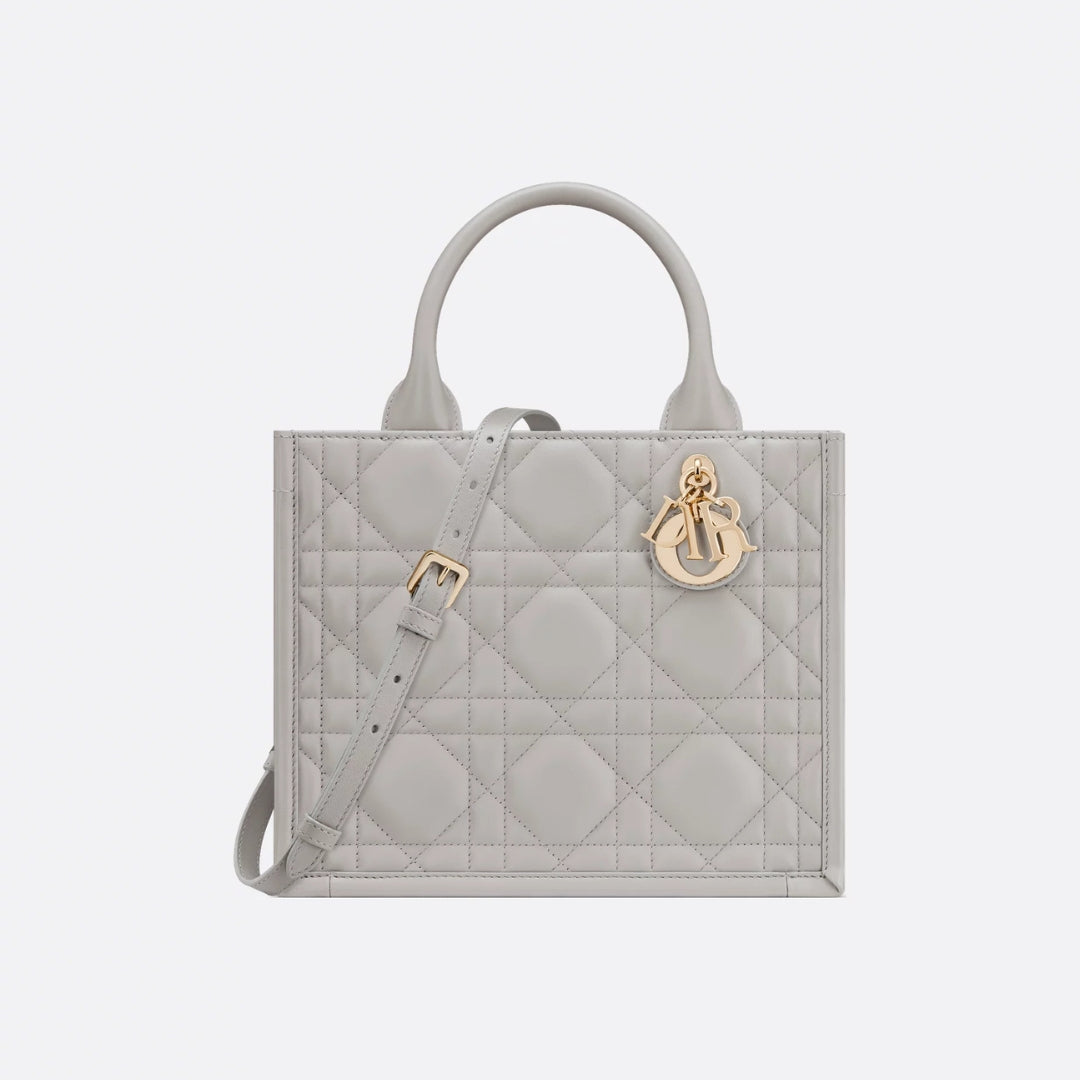 Small Dior Book Tote