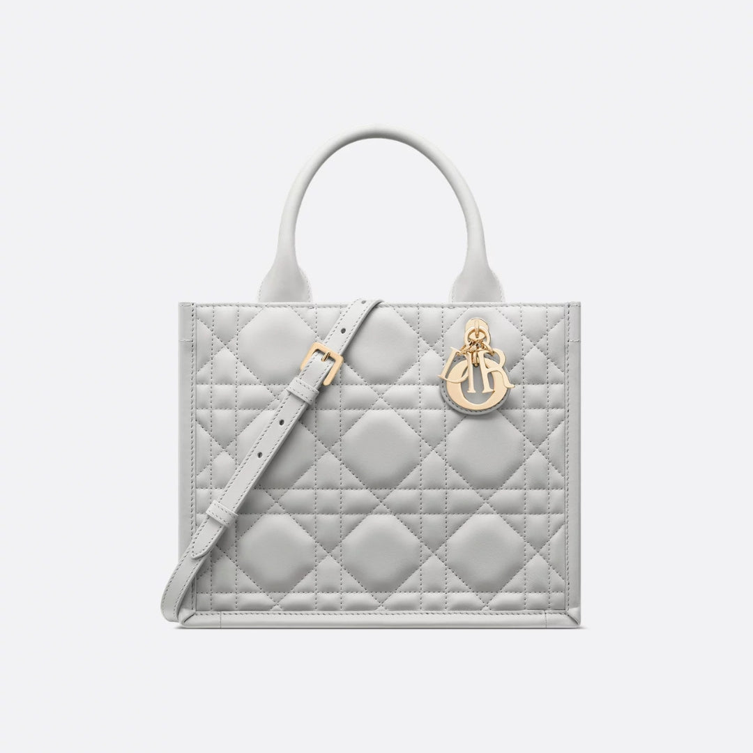 Small Dior Book Tote