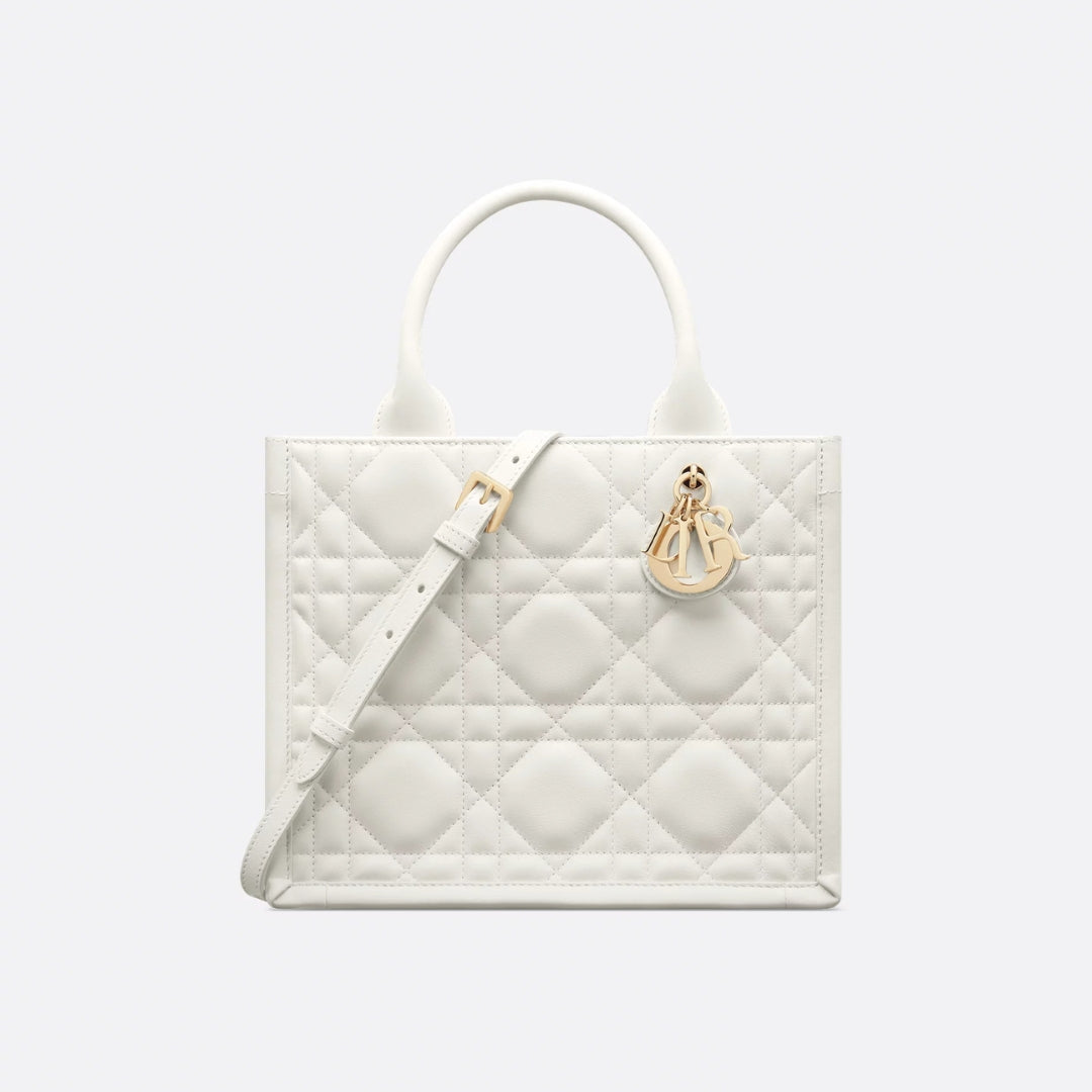 Small Dior Book Tote