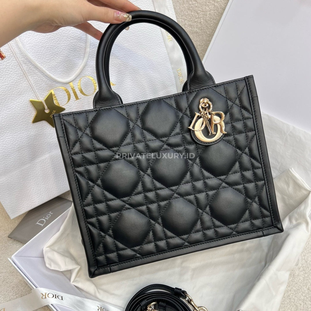 Small Dior Book Tote