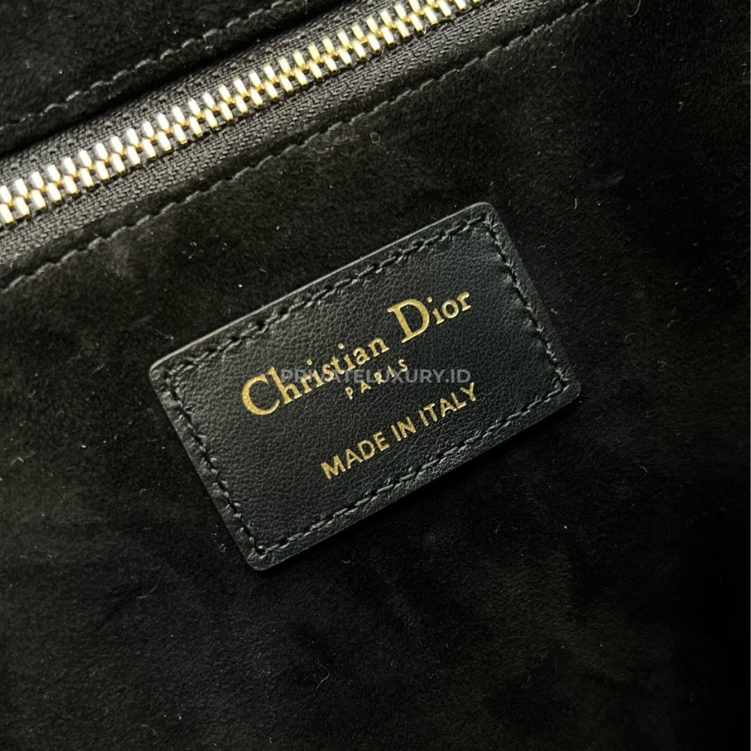 Small Dior Book Tote