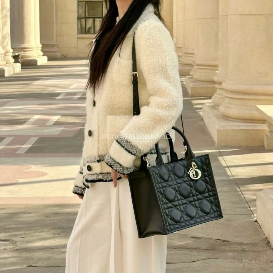 Small Dior Book Tote