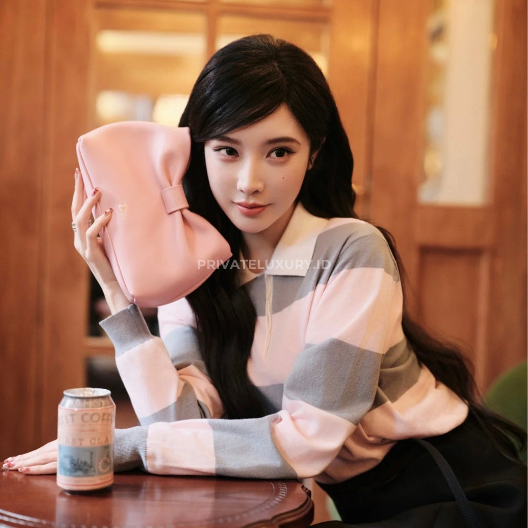 Small Dior Bow Bag