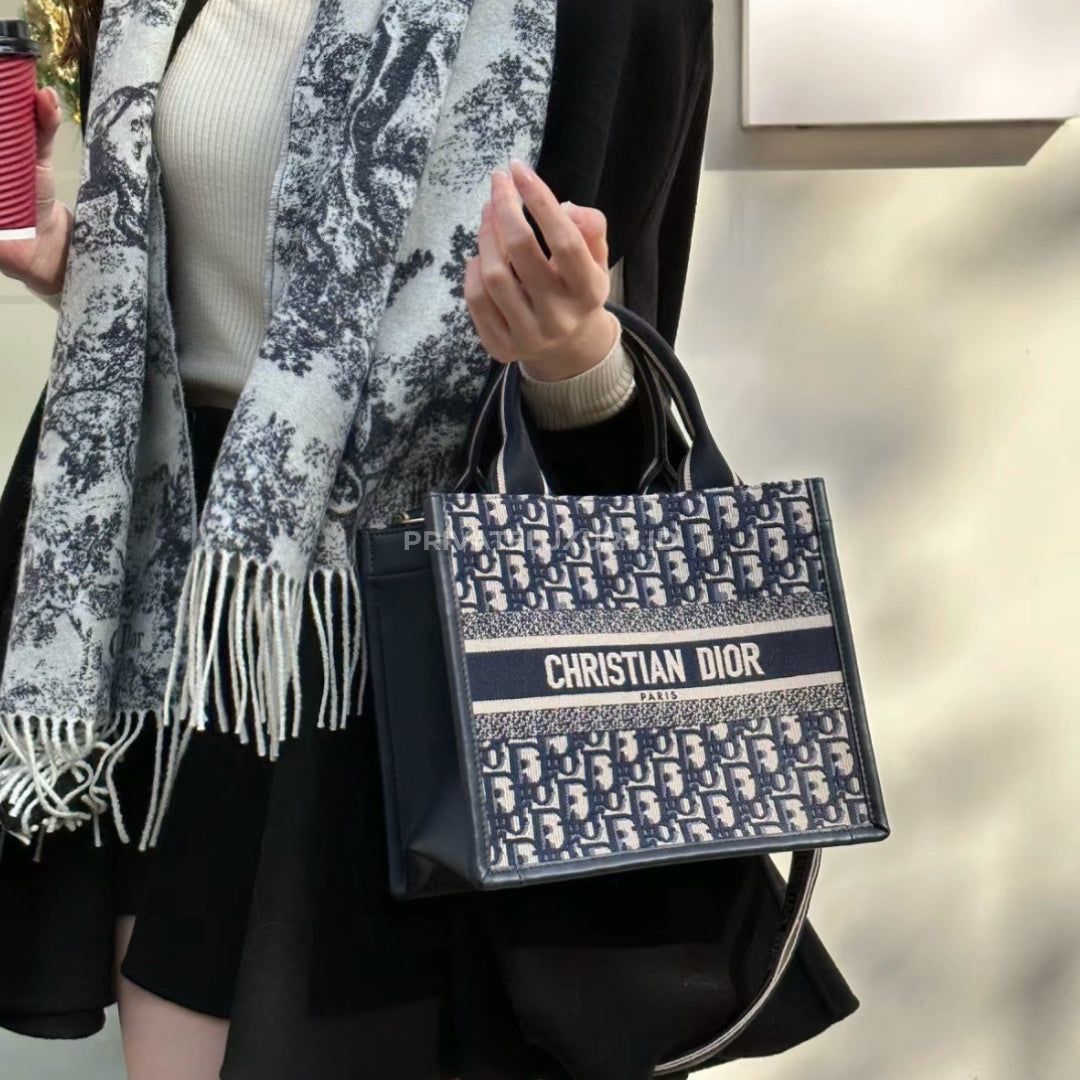 Small Dior Book Tote