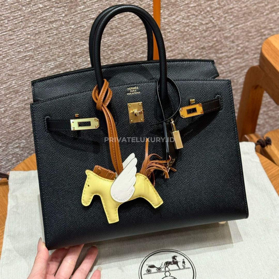 Birkin 25