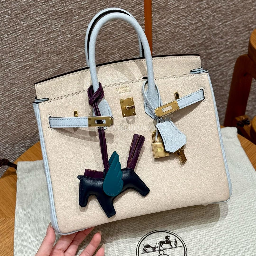 Birkin 25