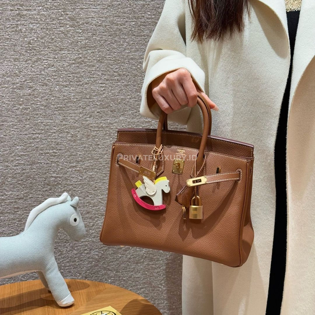 Birkin 25