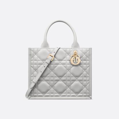 Small Dior Book Tote
