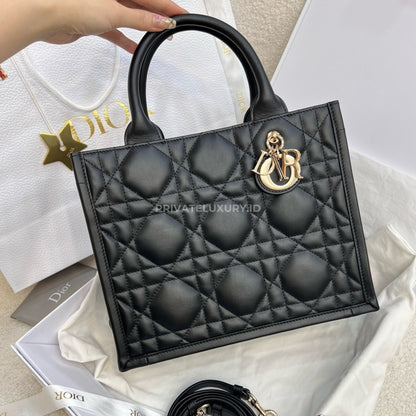 Small Dior Book Tote