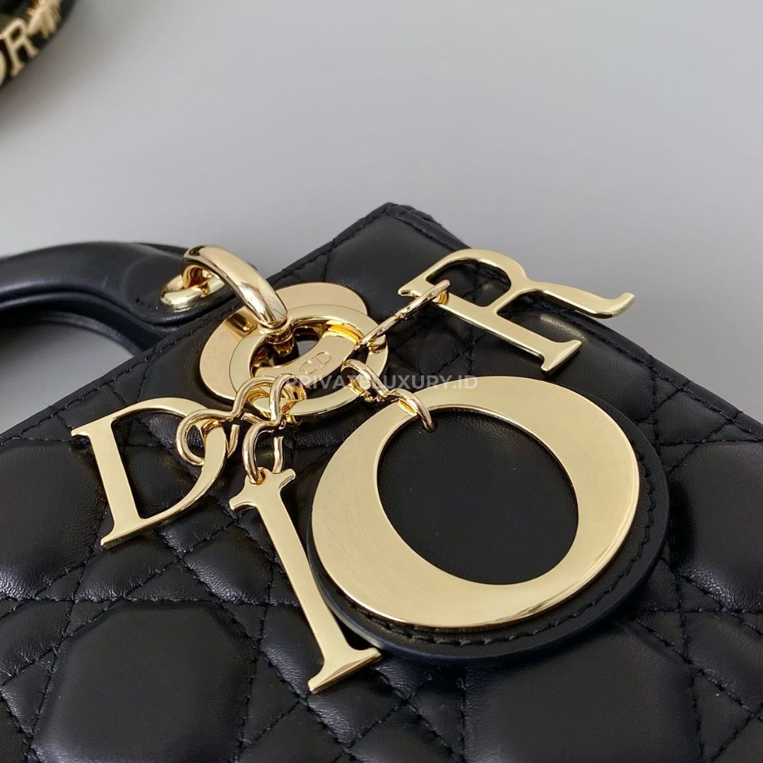 Small Lady Dior My ABCDior Bag