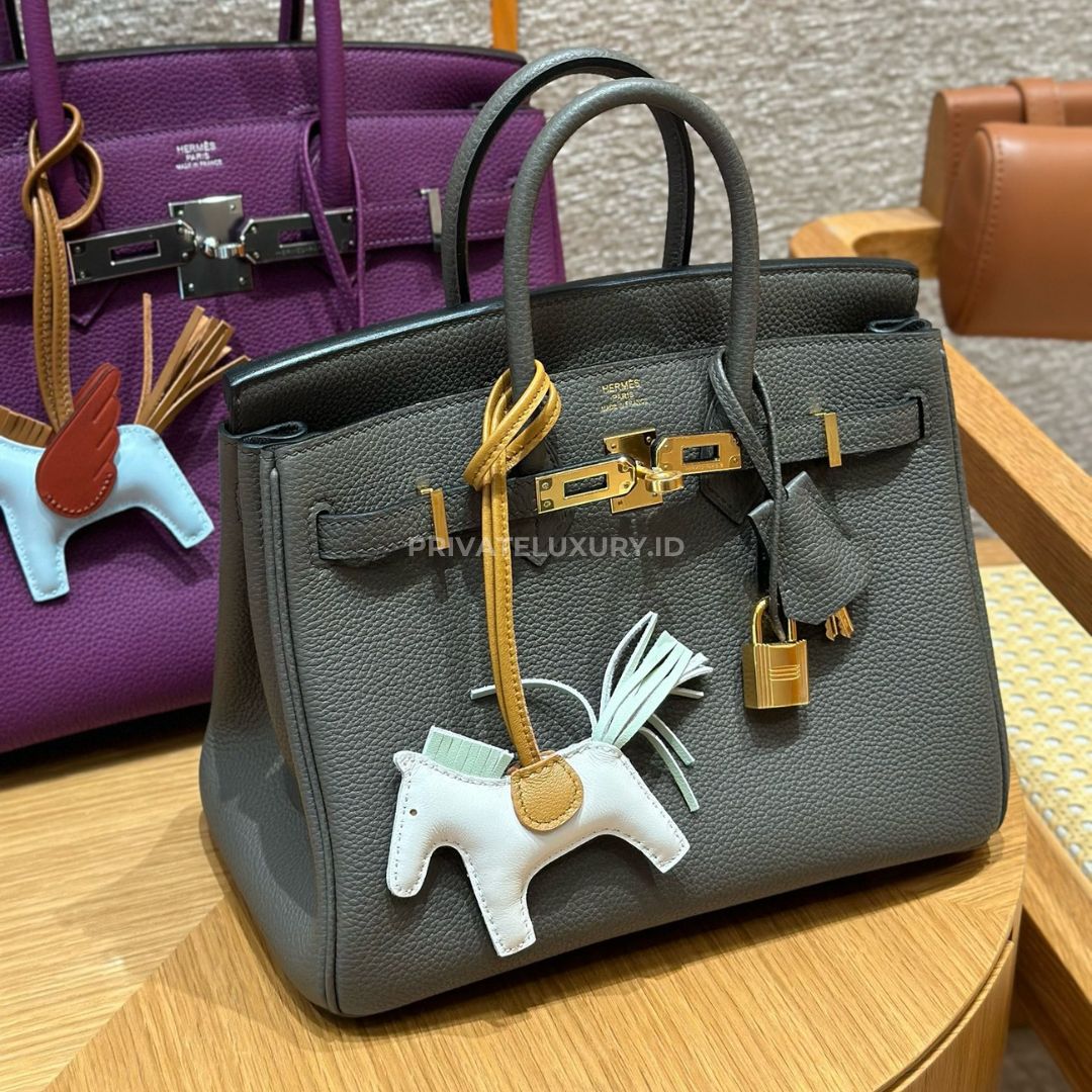 Birkin 25