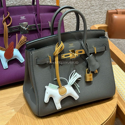 Birkin 25